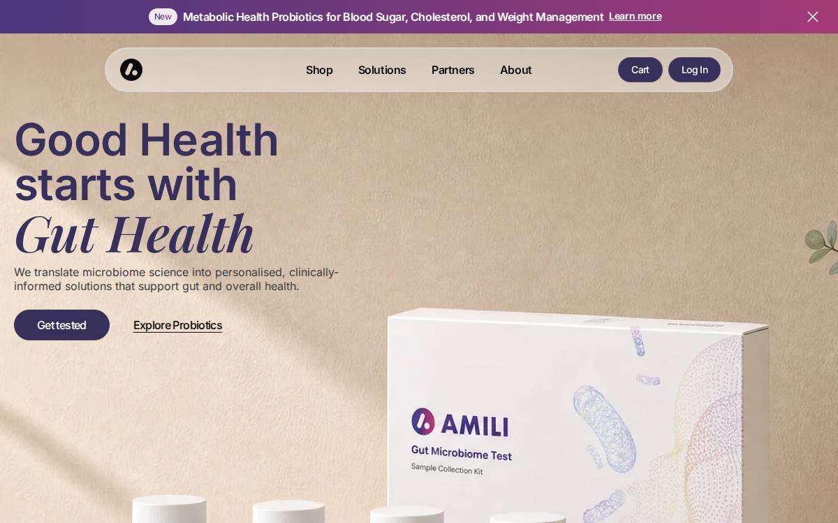 Amili website preview