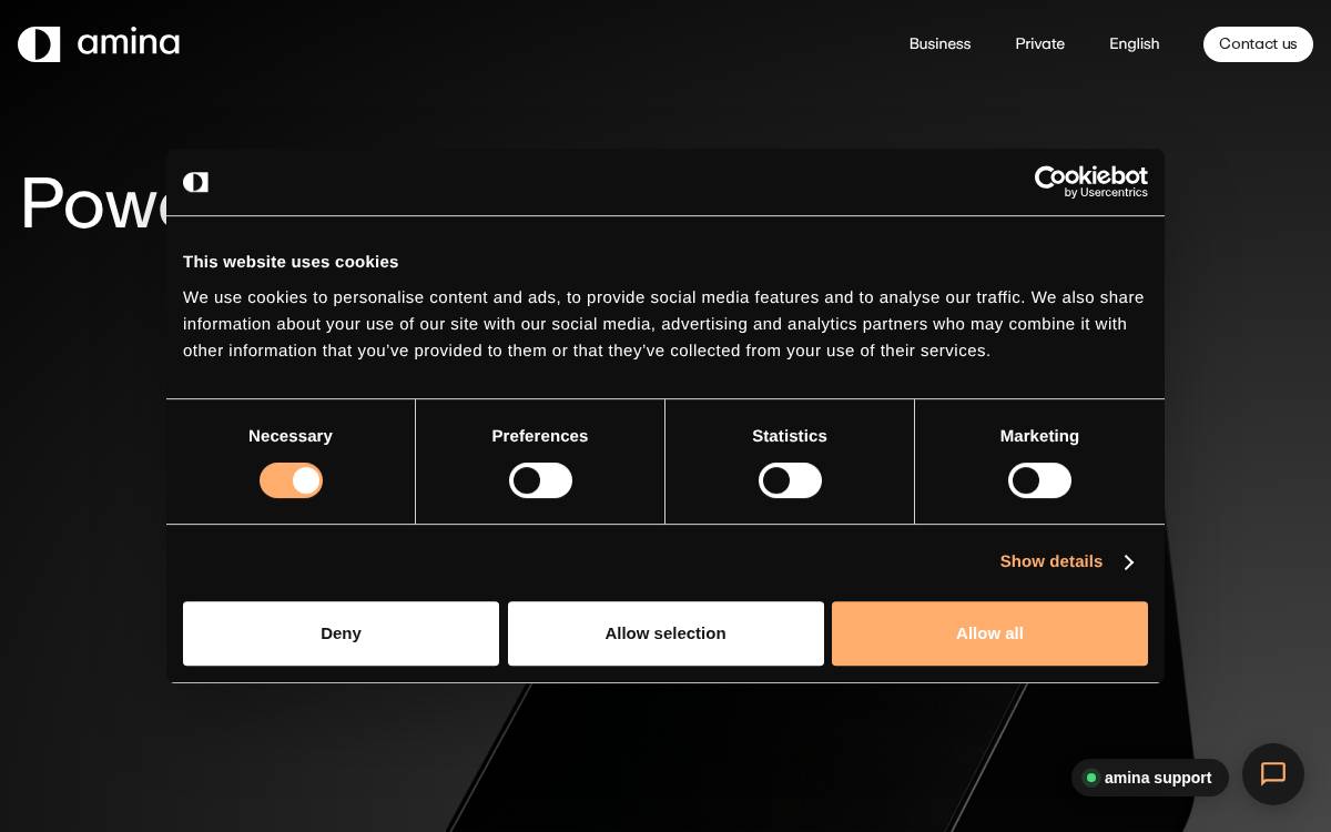 Aminacharging website preview
