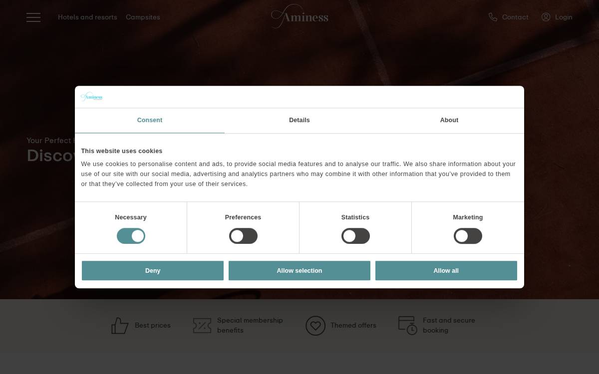 Aminess website preview
