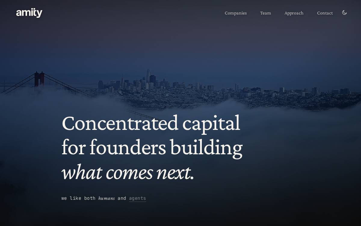 Amity Ventures funds website preview
