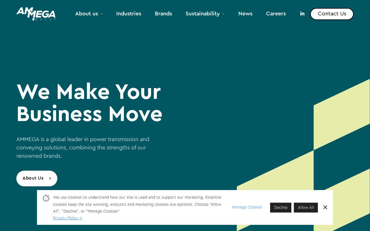 Ammega website preview
