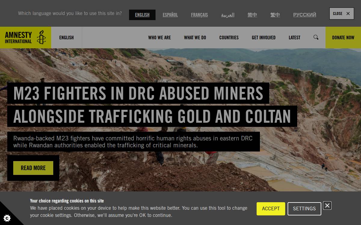 Amnesty International website preview