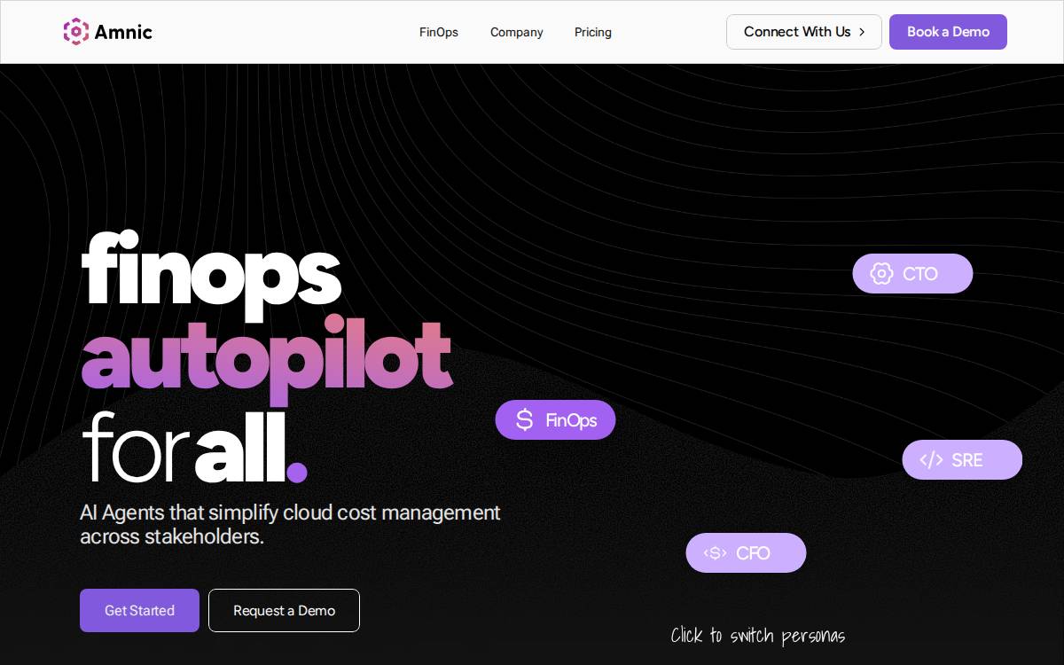 Amnic website preview