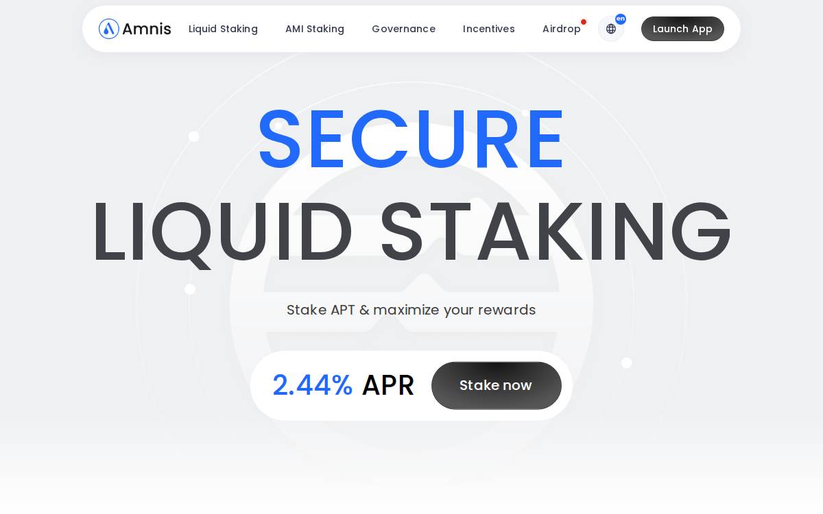 Amnis Finance website preview