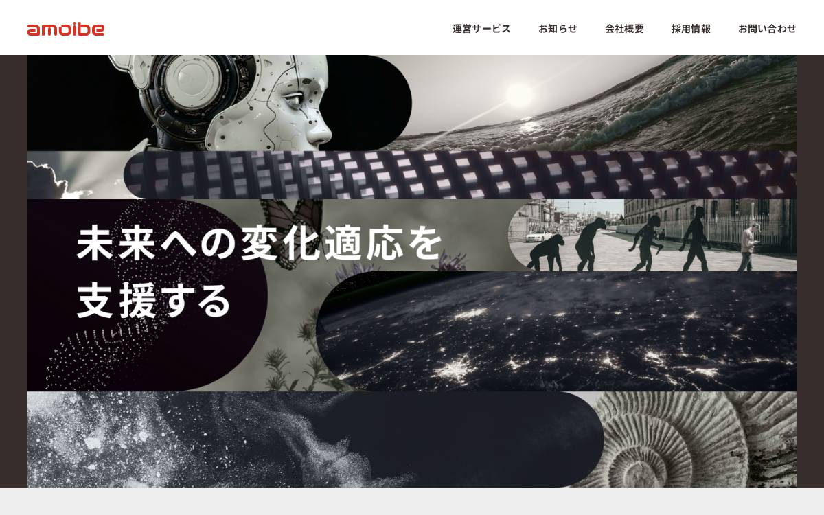 amoibe website preview