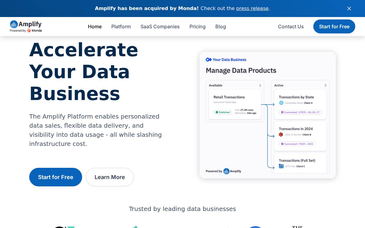 Amplify Data website preview