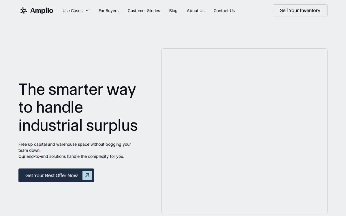 Amplio website preview