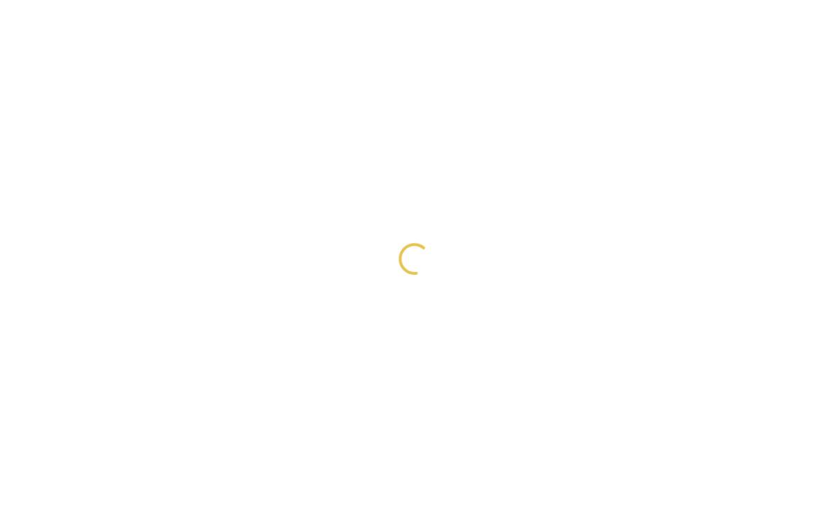 Ampliphi website preview