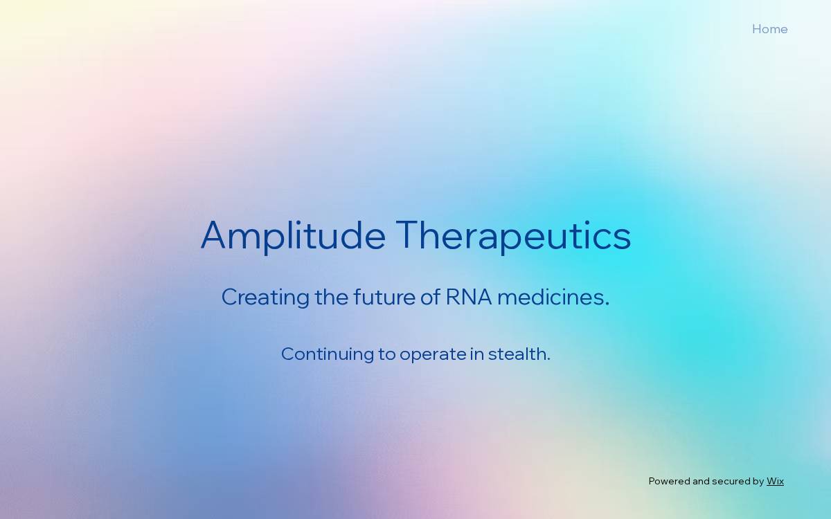 Amplitude Tx website preview