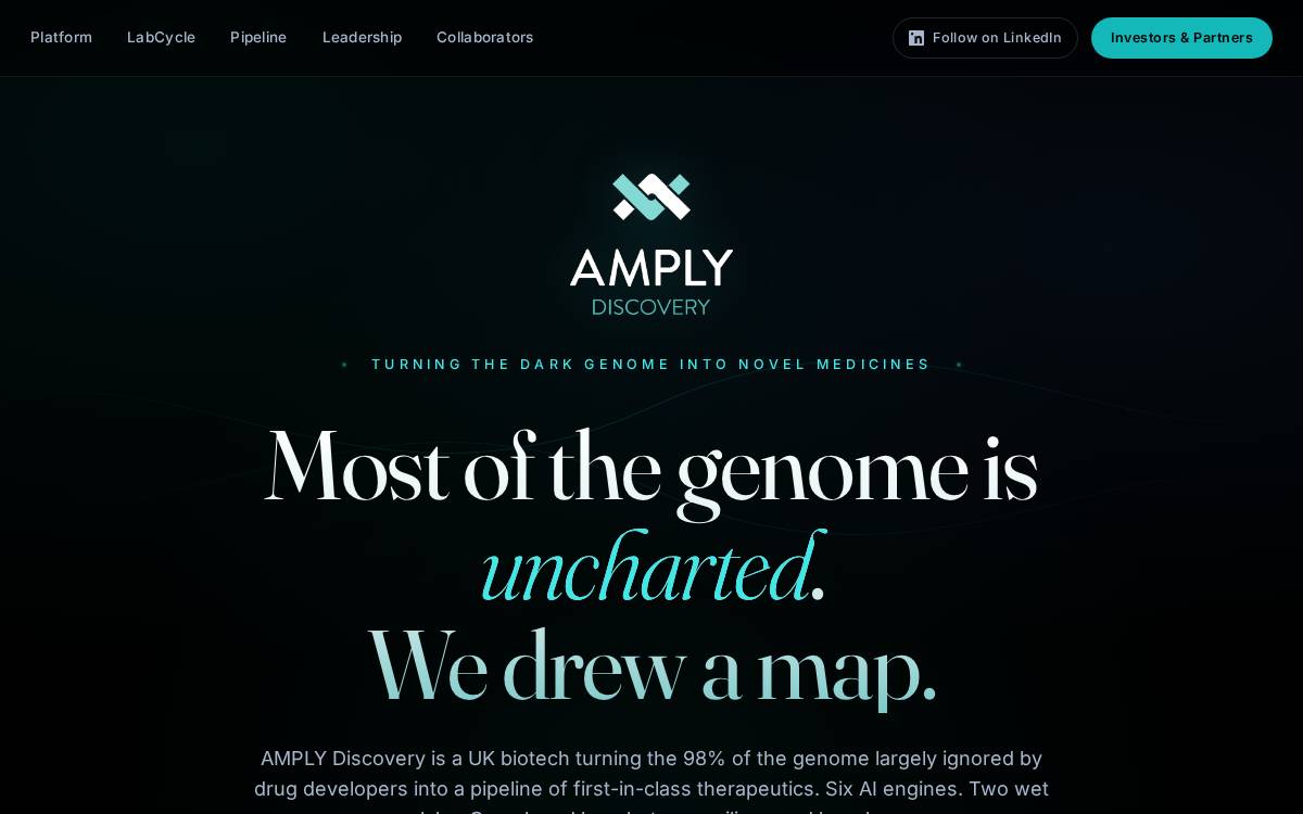 AMPLY Discovery website preview