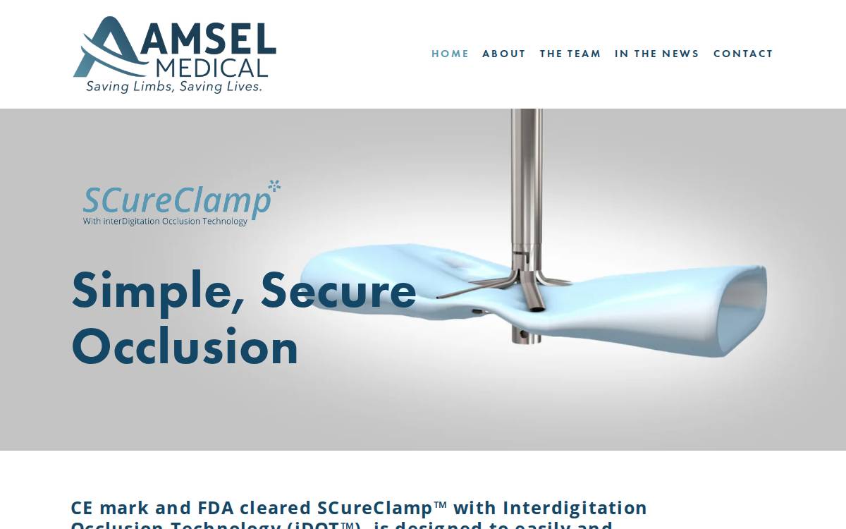 Amsel Medical Corporation website preview