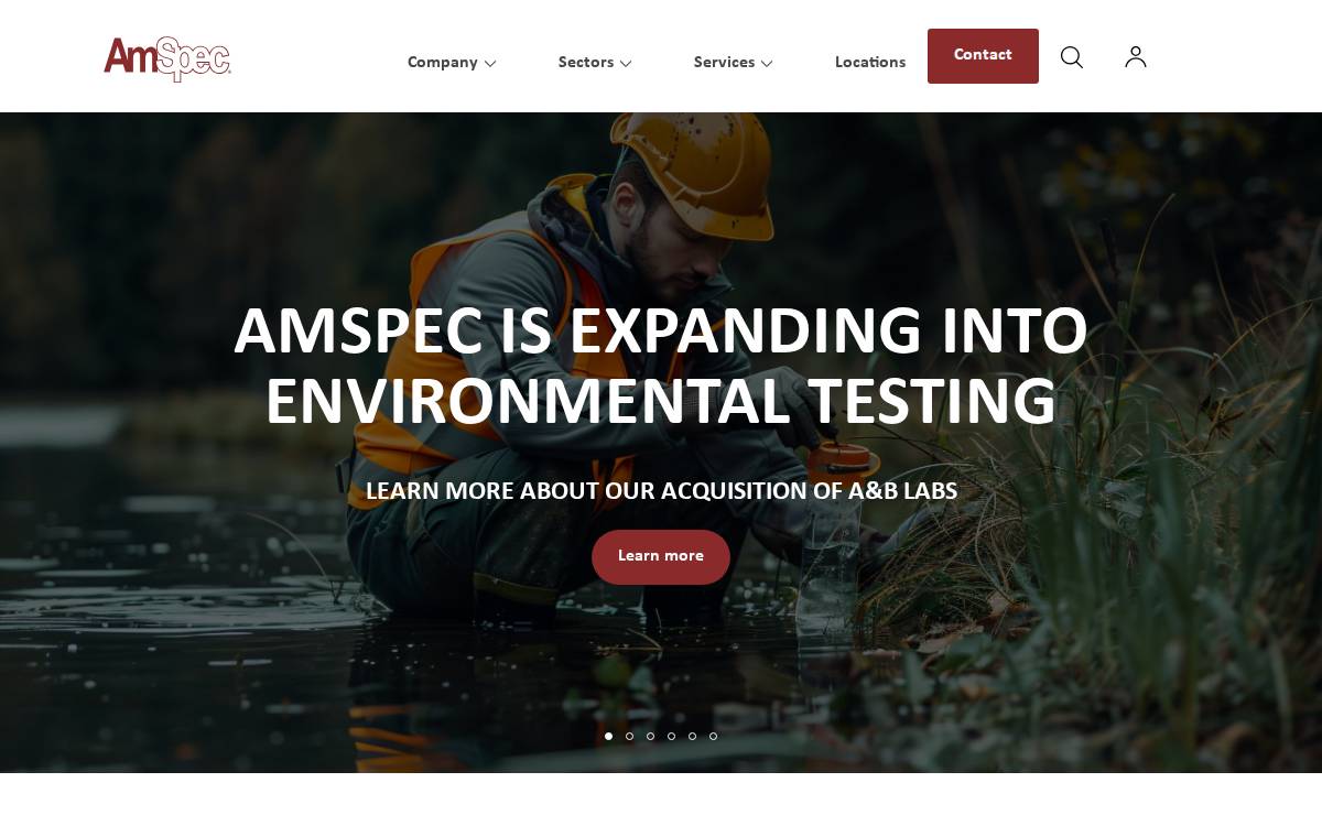 AmSpec website preview