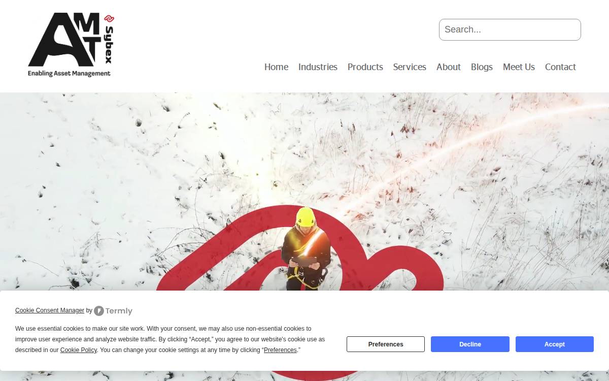 Amt Sybex website preview