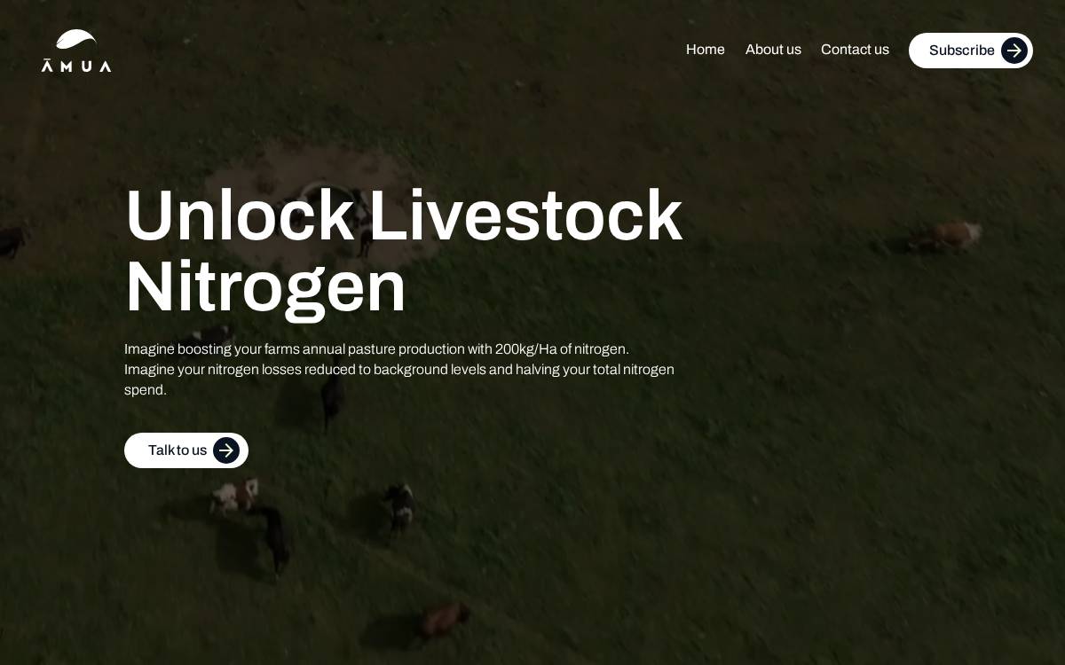 Amua website preview