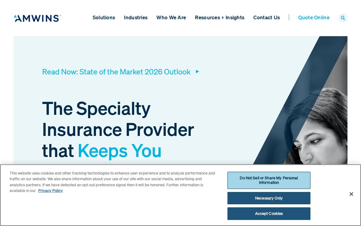 Amwins website preview