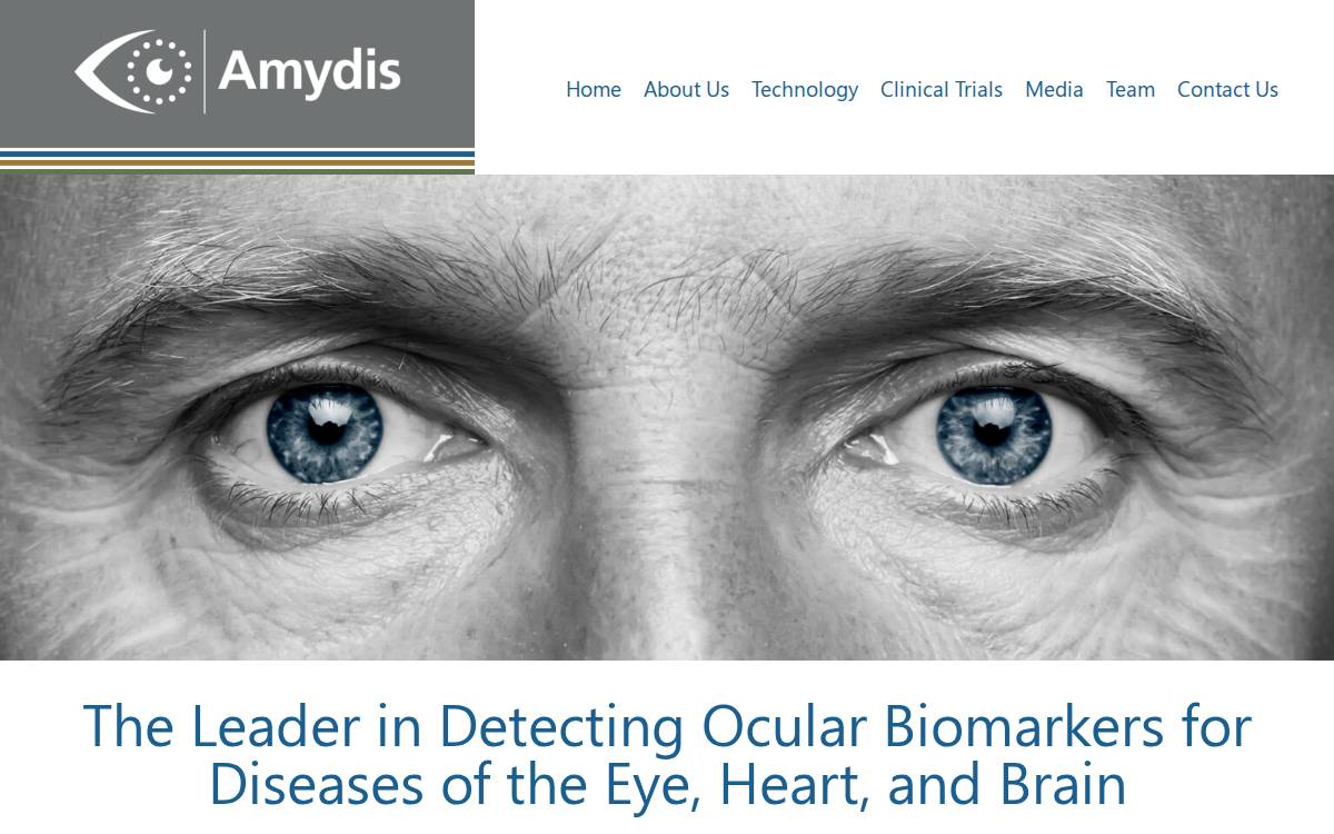 Amydis, Inc. website preview