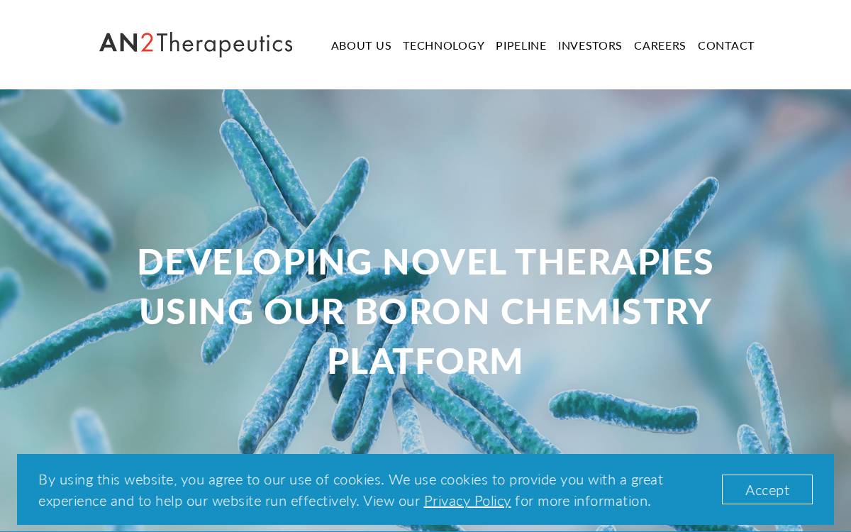 AN2 Therapeutics website preview