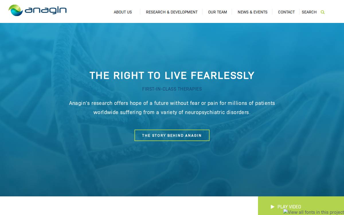 Anagin website preview