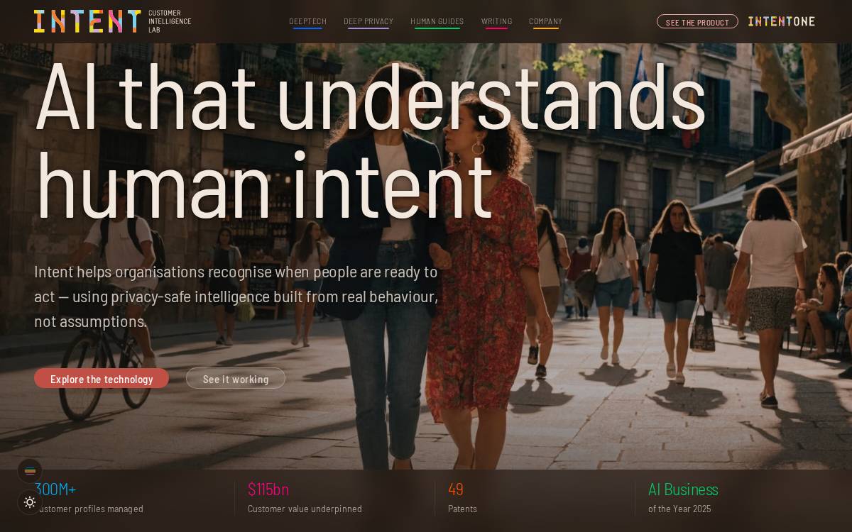 Anagog website preview