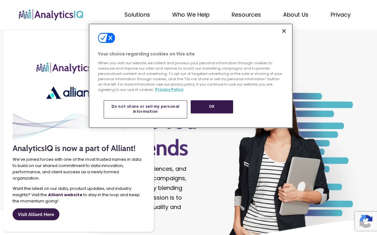 Analytics Iq website preview