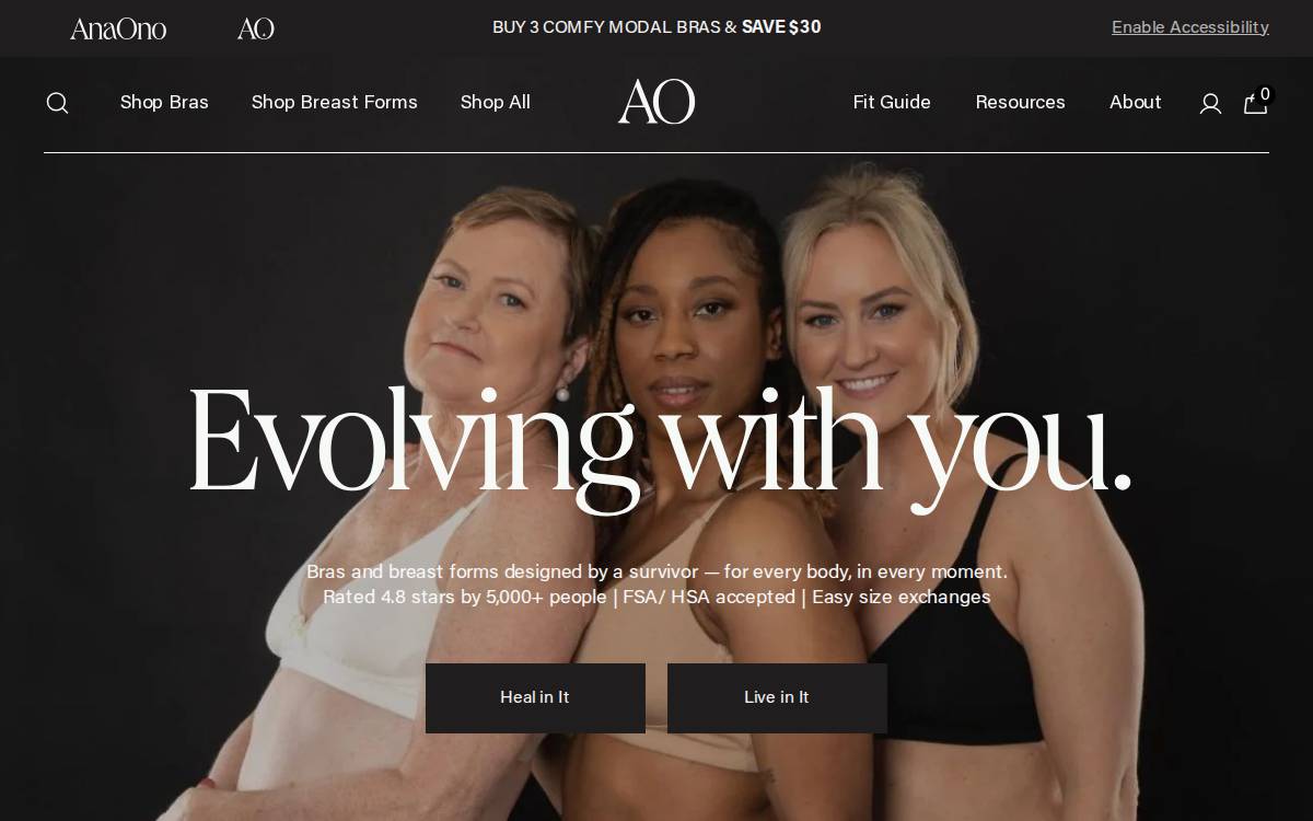 AnaOno Fashion website preview