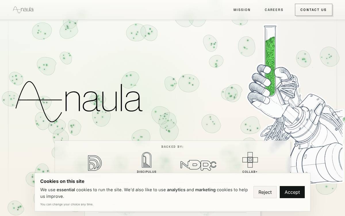 Anaula website preview