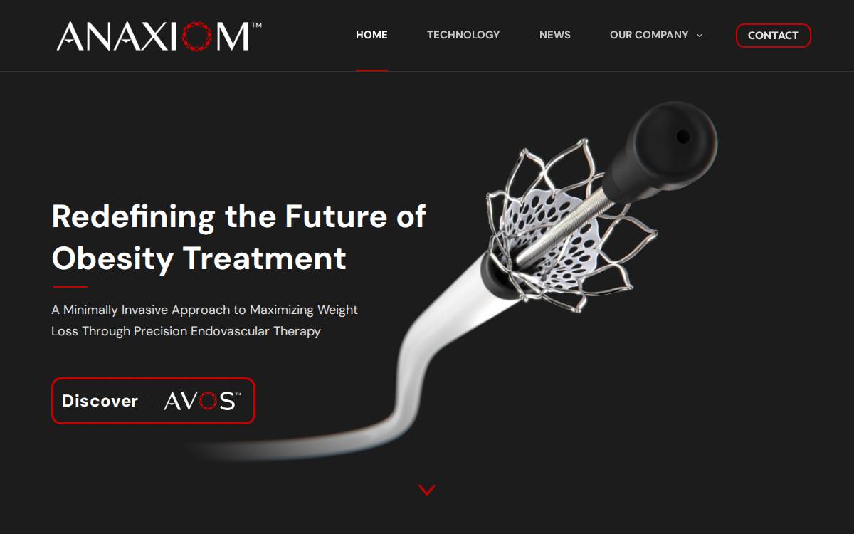 Anaxiom website preview