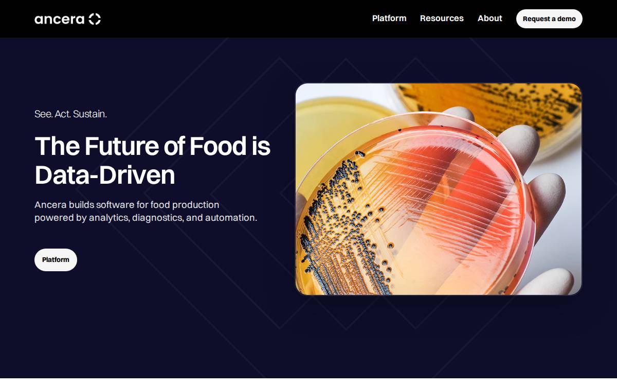 Ancera website preview