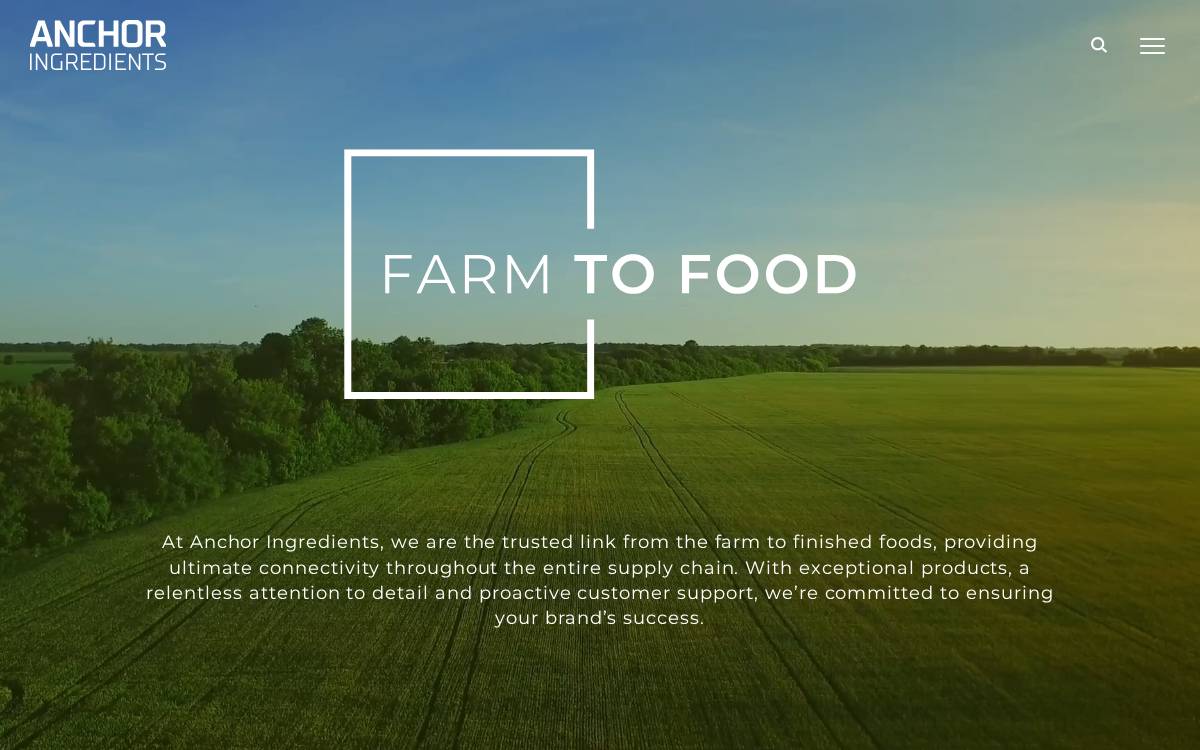 Anchor Ingredients website preview