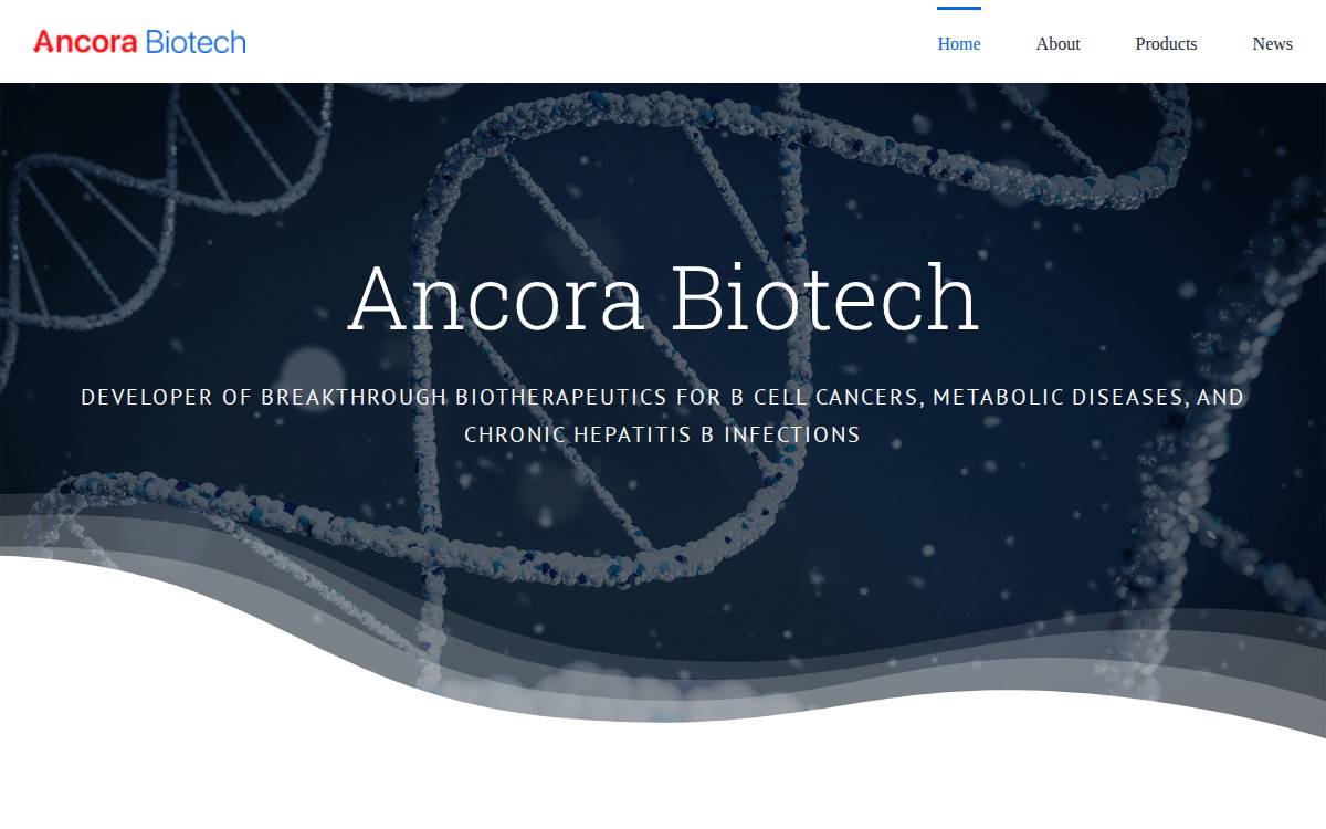 Ancora Biotech website preview