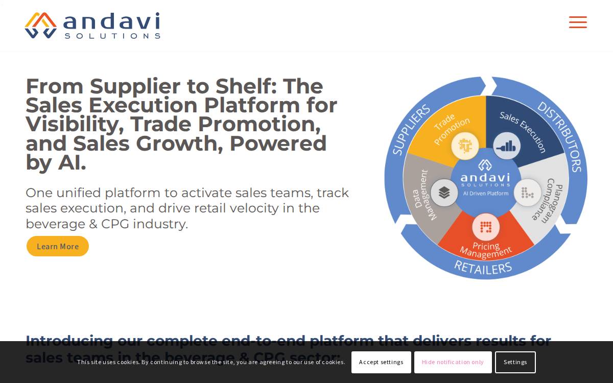 Andavi Solutions website preview