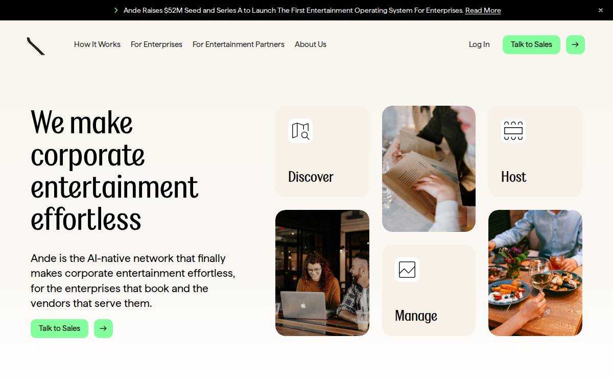 Ande website preview