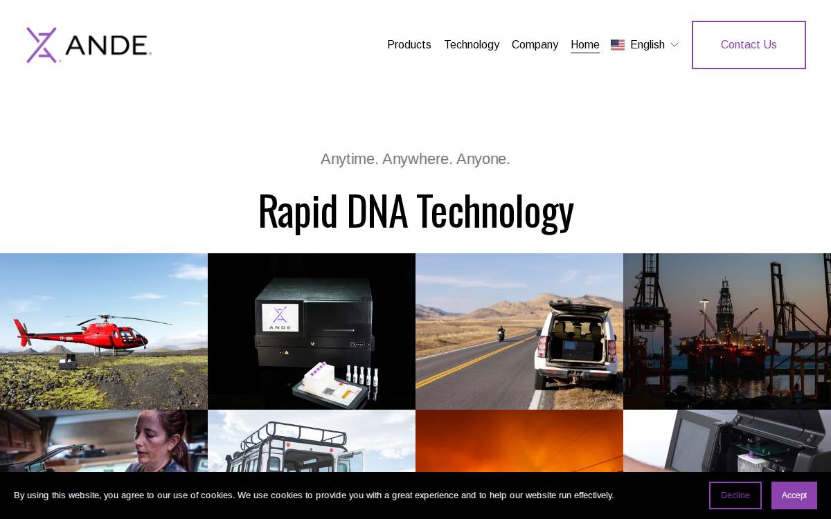 Ande website preview