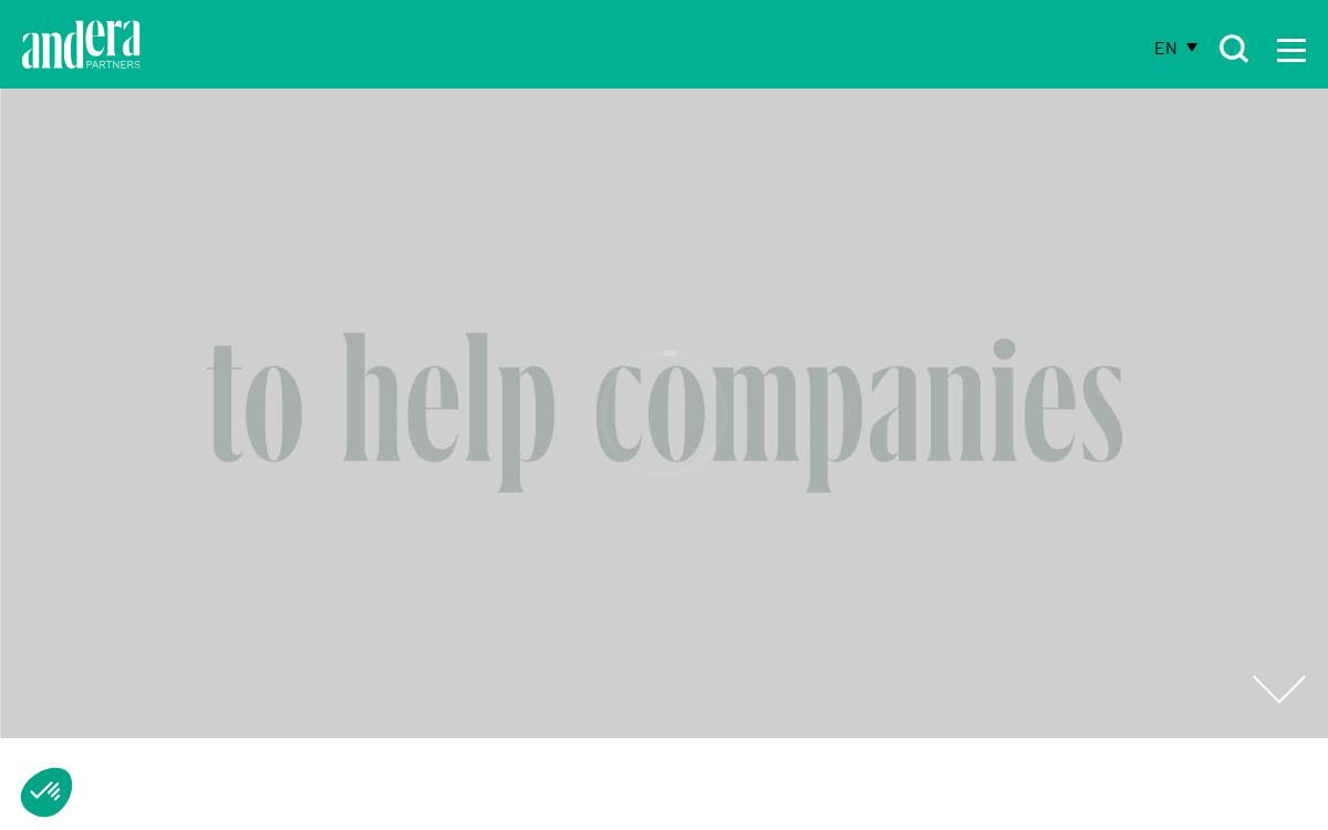 Anderapartners website preview