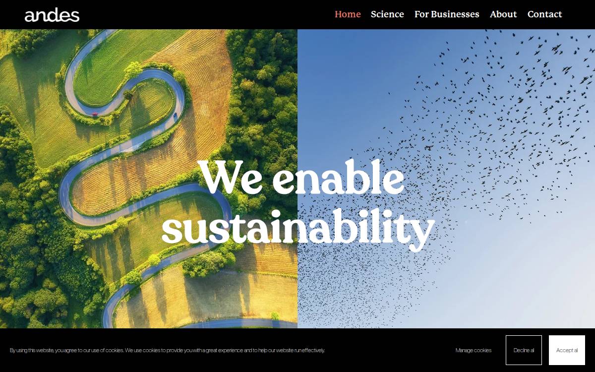 Andes website preview