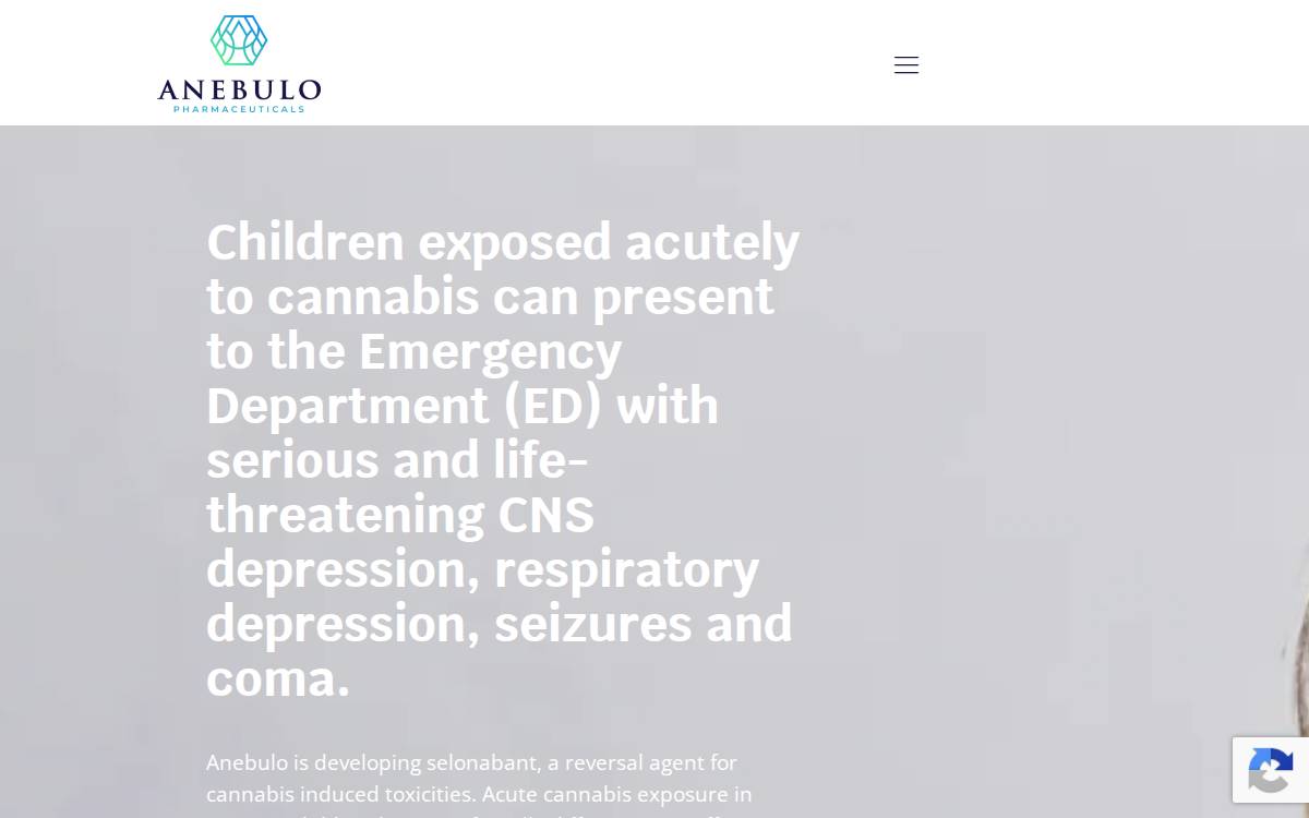 Anebulo Pharmaceuticals website preview