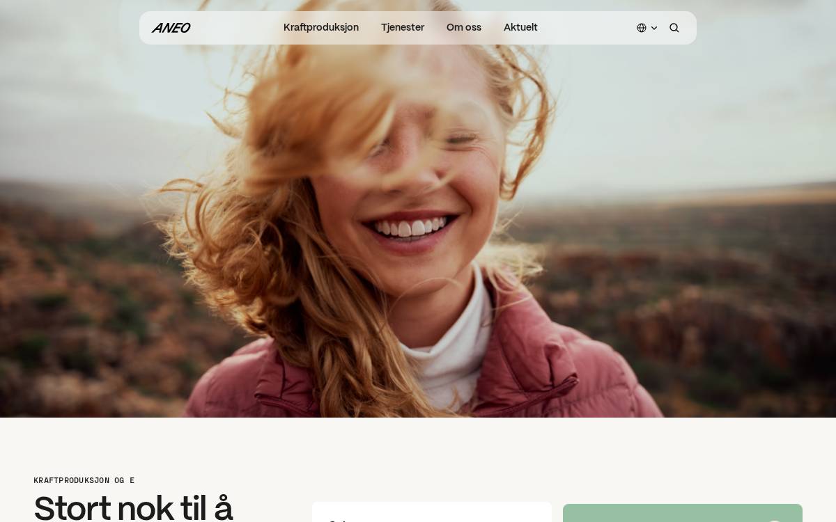 Aneo website preview