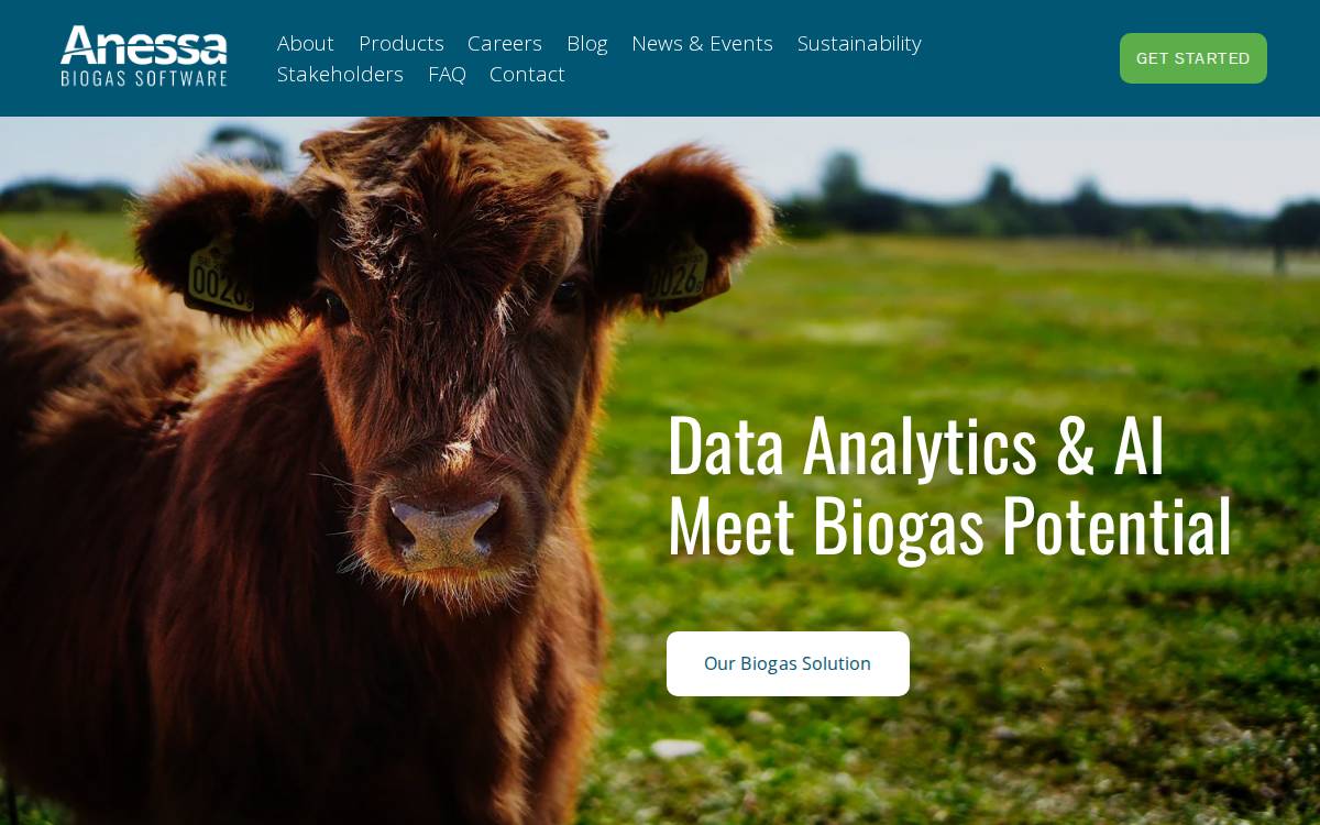Anessa website preview