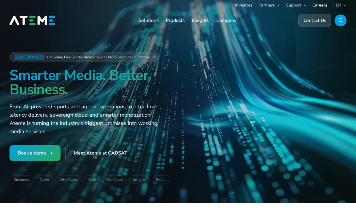 Anevia website preview