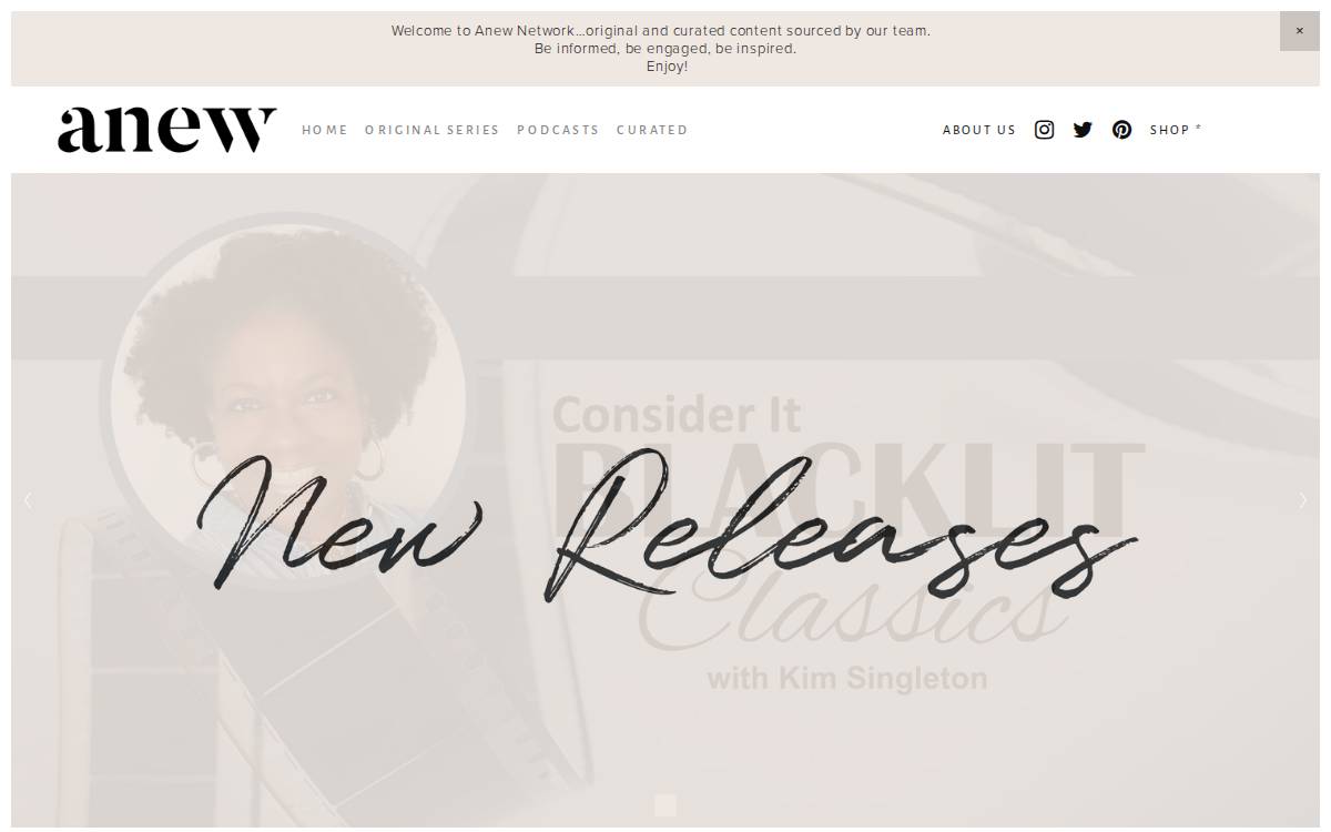 Anewnetwork website preview
