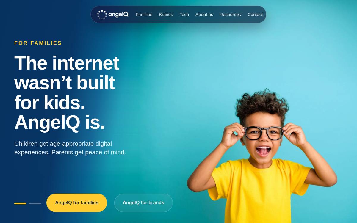 Angel website preview