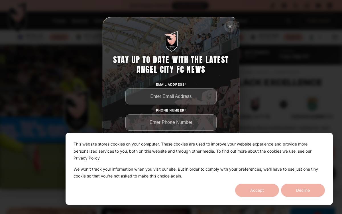 Angelcity website preview