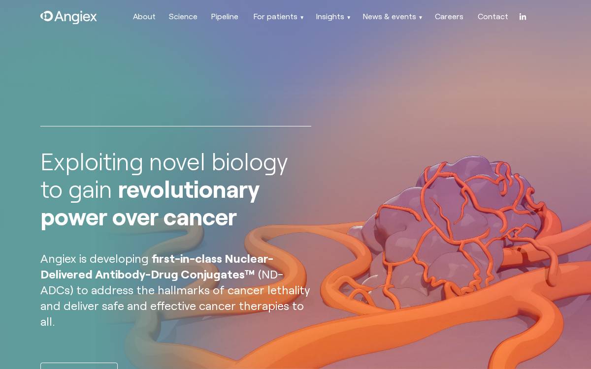 Angiex website preview