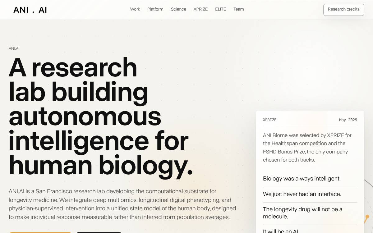 Ani website preview