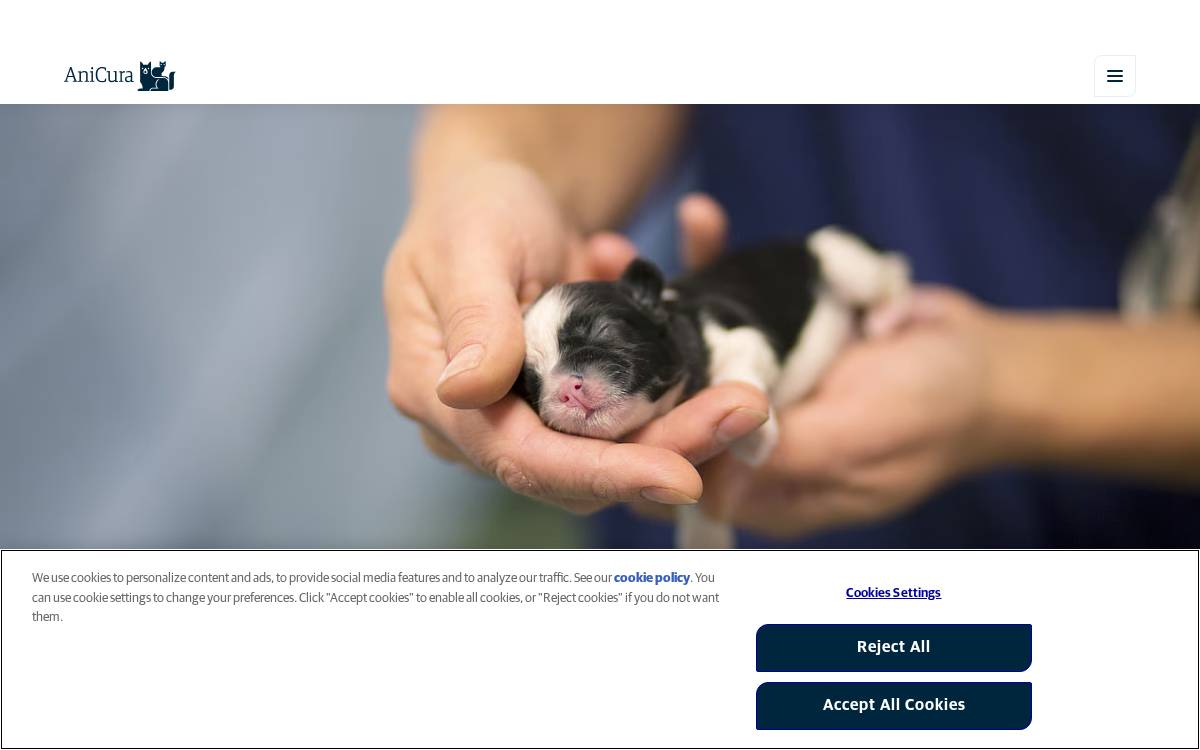 AniCura website preview