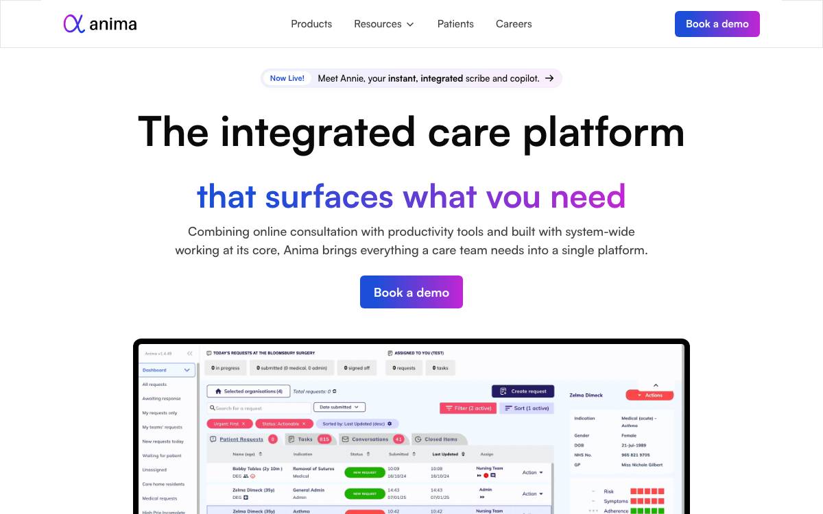 Anima website preview