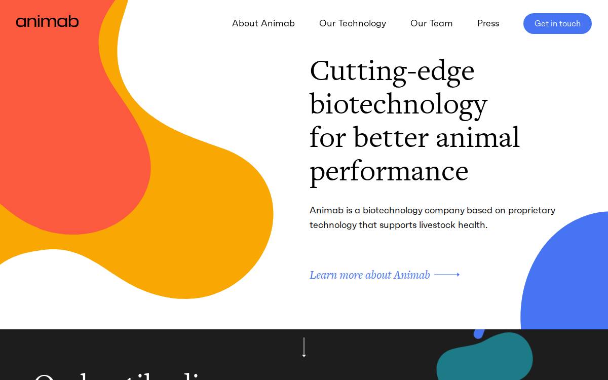 Animab website preview