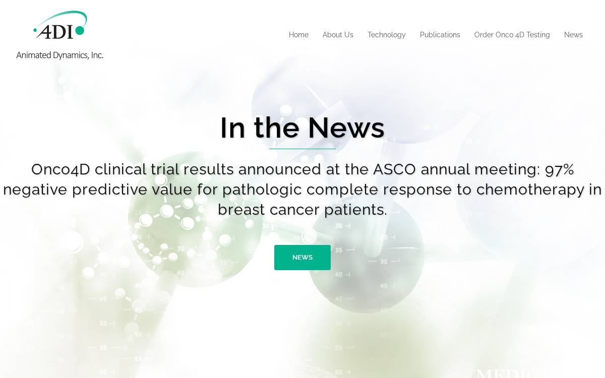 Animated Dynamics website preview