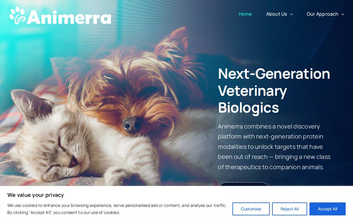 Animerra website preview