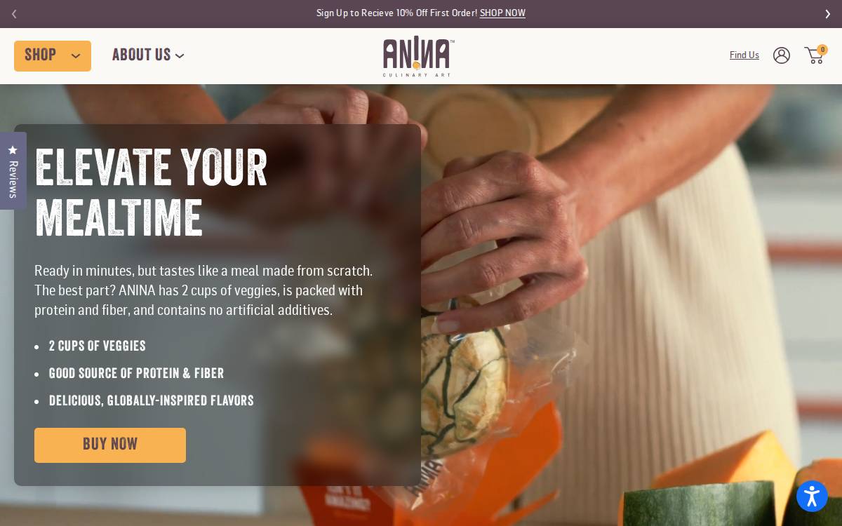 Aninafoodtech website preview